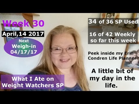 April 14 2017 What I ate on WW SP Mini Grocery Haul & an Erin Condren Planner