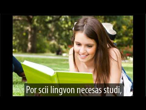 NECESAS FLORO = CI VUOLE UN FIORE