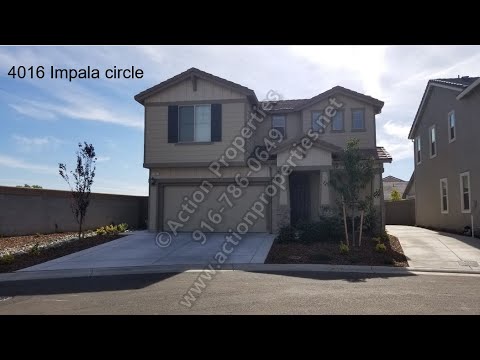 Impala & Malibu - Video 2 of 2