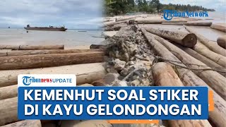Kemenhut Buka Suara soal Kayu Gelondongan Berstiker di Lampung yang Kini Viral, Akui Sudah Berizin