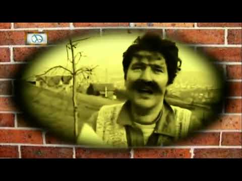 THE KUGUARS - Зидарева љубав