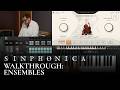 Video 6: Walkthrough 4
