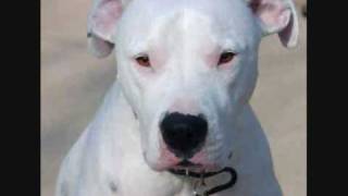 club dogo - niente per niente