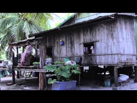 CSFF 2015 Trailer 1.0