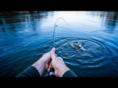 River Trent Fishing For Barbel