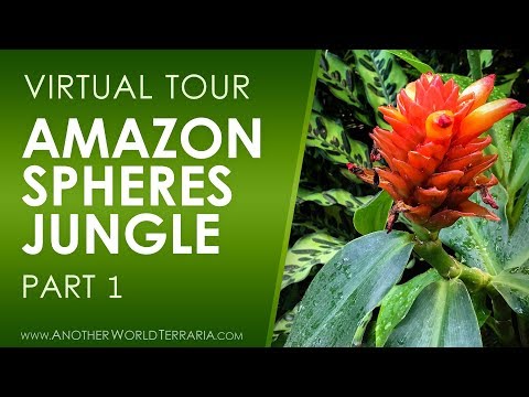 Amazon Spheres Tour (Stunning Sanctuary in Seattle!) Part 1