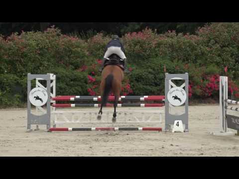 Cicave du Talus - CIR 4 ans Mâles Auvers