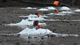 Зимняя рыбалка на балансир и жерлицы
