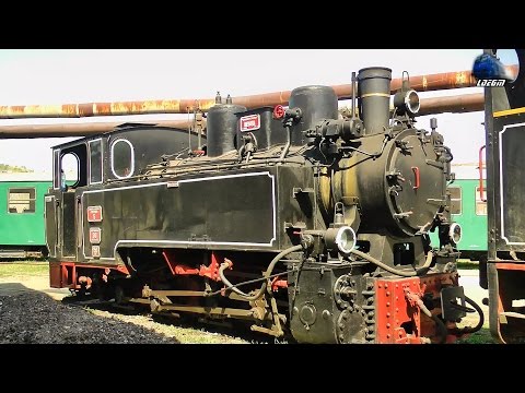 Mocanita/Steam Loco/Dampflok Criscior 5 in Depoul CFI Criscior Depot - 17 April 2015