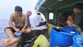 Download lagu Fishermen's Joy and Sorrow in the Middle of the Sea || Pa'gaE Bugis Bone || KM Rafi Jaya mp3