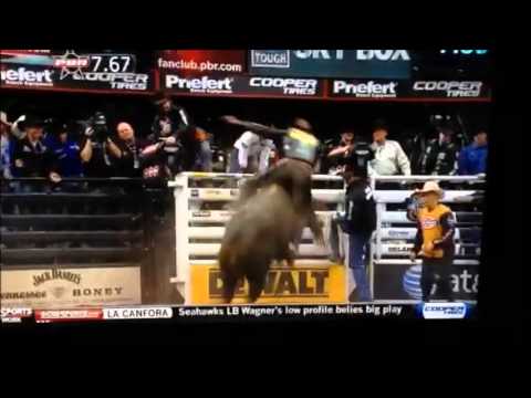 CADDYSHACK - SON OF BORDERLINE