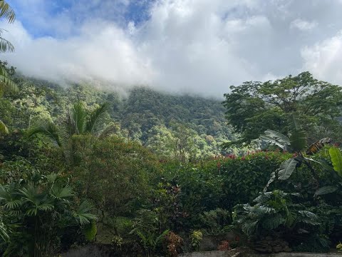 Uria Tsur - Together Beyond Time