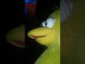 Big Bird Reviews Barney S Super Singing Circus Part 2