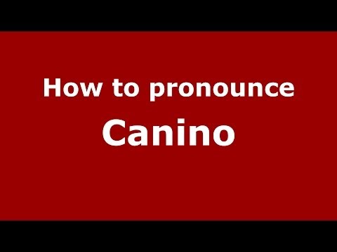 How to pronounce Canino