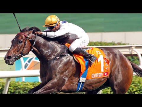 金鎗六十 21場頭馬 全記錄片段  Golden Gun Sixty 21 wins full videos