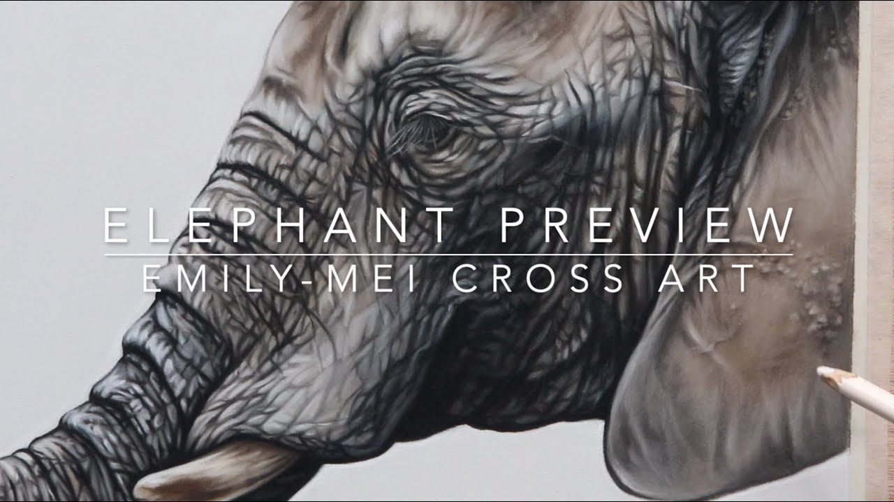 Elephant tutorial preview