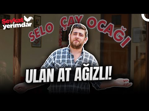 At Ağızlıların Baş Düşmanı: Çaycı Selami - Şevkat Yerimdar