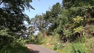 preview picture of video 'Real fakt Malghat Forest road trip'