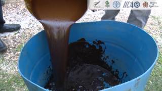 JAMAICA: DEMONSTRATION- HOW TO MAKE MOLASSES-UREA FEEDING BLOCKS