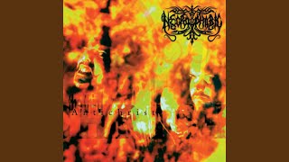 Rise of the Infernal