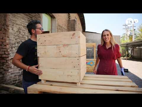 download lagu mp3 mp4 Don Pallets, download lagu Don Pallets gratis, unduh video klip Don Pallets