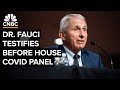 Dr. Anthony Fauci testifies before House subcommittee on Covid-19 pandemic — 6/3/2024