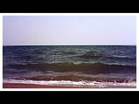 SPAM - Andreea (Lyric video)