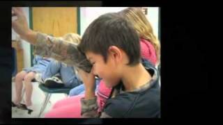 Don't Put Me Down Or My Dog