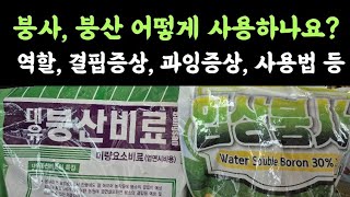 붕사, 붕산 어떻게 사용하나요????? 역할? 생리작용? 결핍증상? 과잉증상? 사용법? 