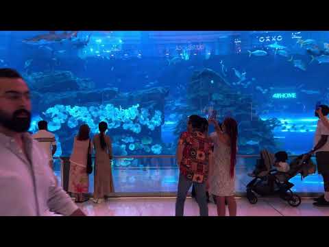 INSIDE Dubai Mall’s MEGA Aquarium 2025! WORLD’S LARGEST Underwater Tunnel | Sharks, Stingrays  🦈