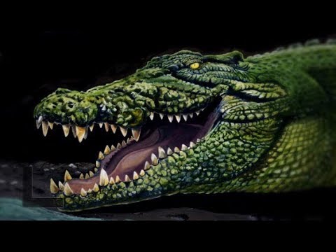 Purussaurus - Ancient Animal