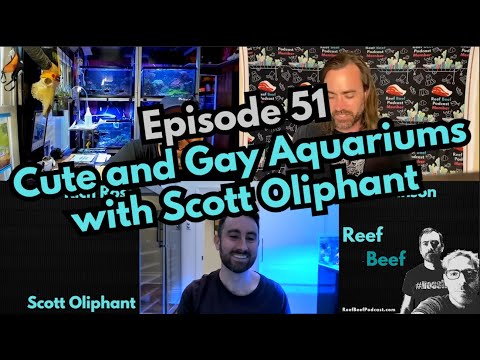 Cute and Gay Aquariums with Scott Oliphant - Episode 51