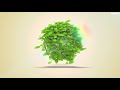 Create an natural flying leaves intro - Best Logo Animation service