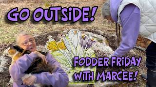 AFTER THE #LIVE: Go Outside!  Friday Fodder with Marcee: Ink & Wash!
