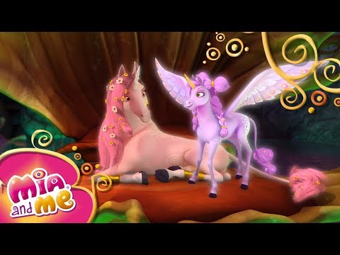 Kleine Schwester - Mia and me 🌸