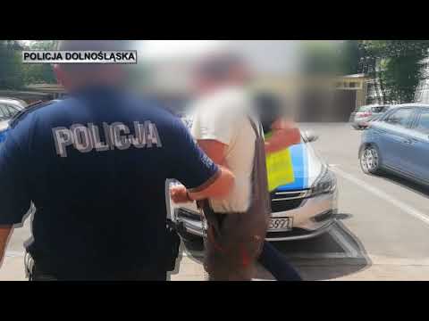 17.06.2017 - Oleśnica - Strzelał z wiatrówki do policjantów
