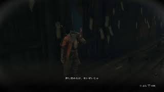 ［ARPG]SEKIRO　せきろう　playthrough＃5