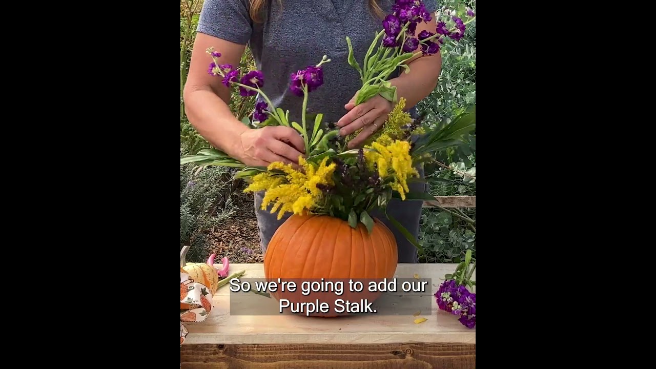 Make a Beautiful Pumpkin Arrangement