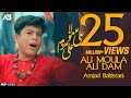 ALI MOLA ALI DAM DAM AMJAD BALTISTANI Official Video TNA RECORDS