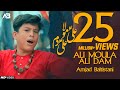 ALI MOLA ALI DAM DAM | Jaanam Fida E Haideri | AMJAD BALTISTANI | Official Video | TNA RECORDS