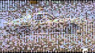 Roadblock by Stan Ridgway