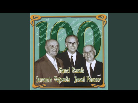 Směs polek 12x Karel Vacek: Hej, panímámo / Hů a hů / Jé, jé / Bříza zelená / Čtyři...