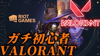 【VALORANT】半年後もブロンズだった初心者のコンペ【参加型】