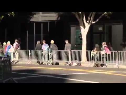 Clydesdales Brotherhood  (emotional)