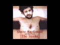 Shane Mac Gowan and The Popes The Snake (FULL ALBUM)