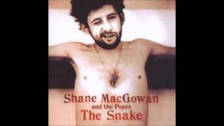 Shane Mac Gowan and The Popes   The Snake (FULL ALBUM)