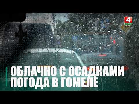 Прохладная с осадками погода ожидается в течение недели на Гомельщине видео