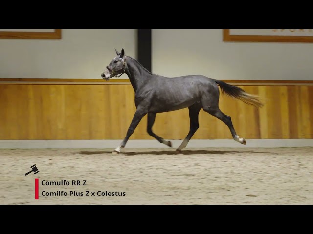 Comulfo RR Z