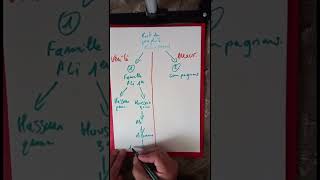 Le 12ème Imam Al-Mahdi