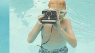 King of No one-The Most Serene Republic